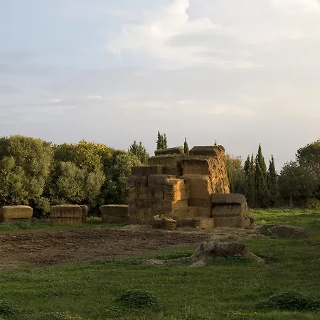 Cuevas Del Pino Y Emocional Sl