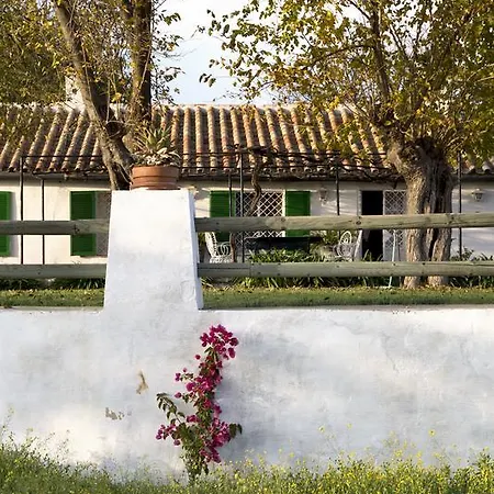 Country house Cuevas Del Pino Y Emocional Sl Villarrubia