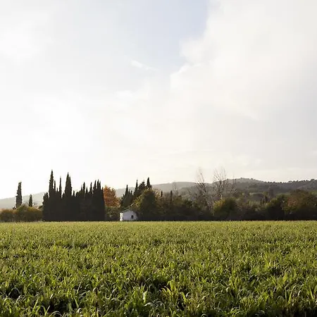 Cuevas Del Pino Y Emocional Sl * Villarrubia